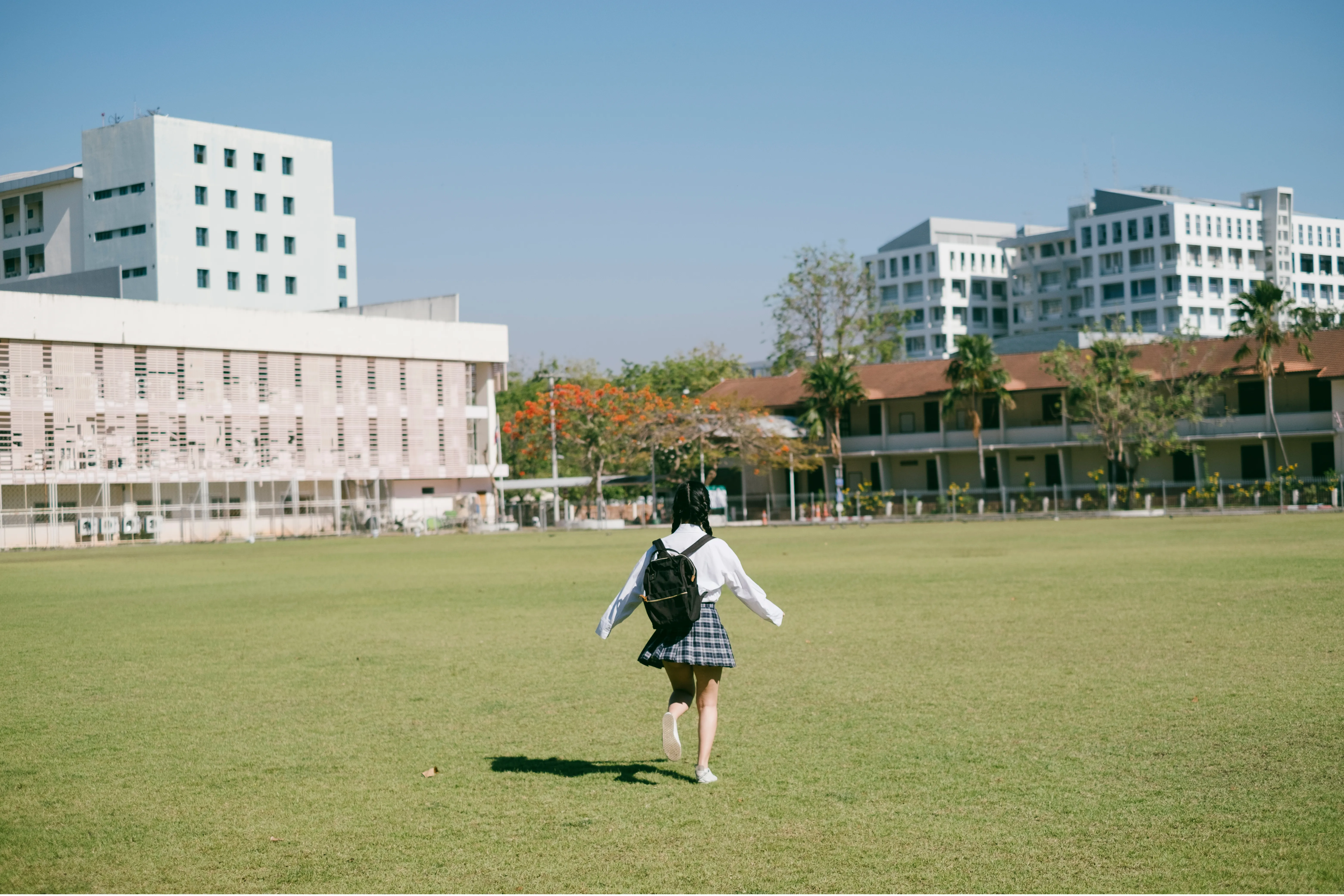 Banner News and Blog | Peace & Living